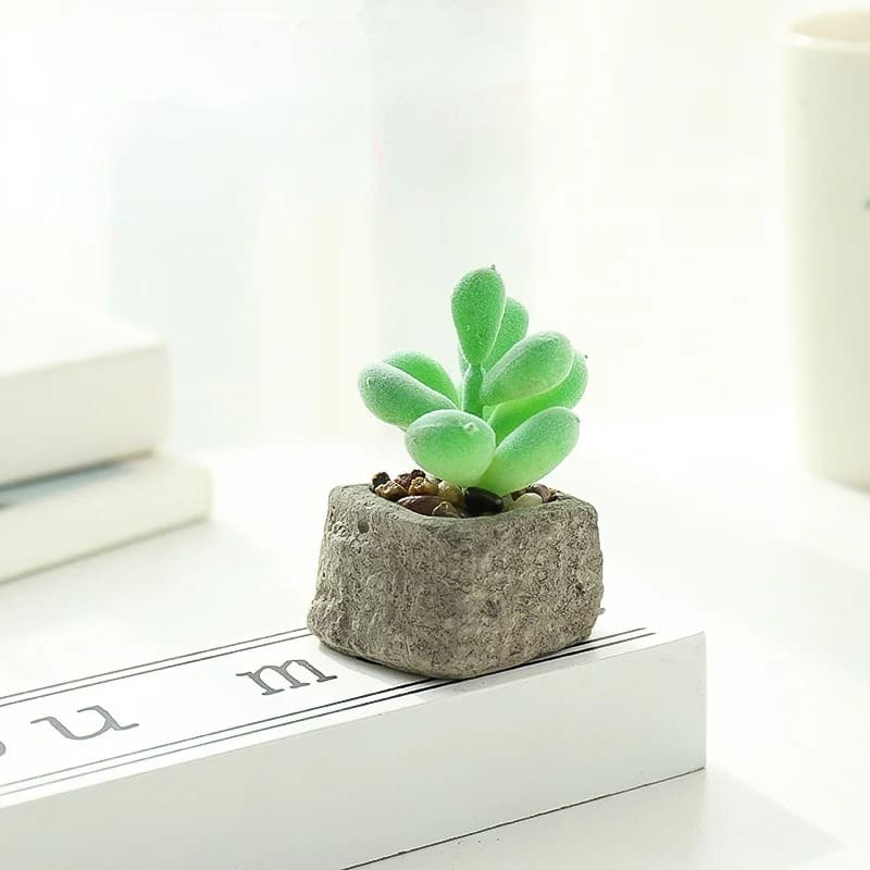 Petite Plante Grasse Artificielle Ikea