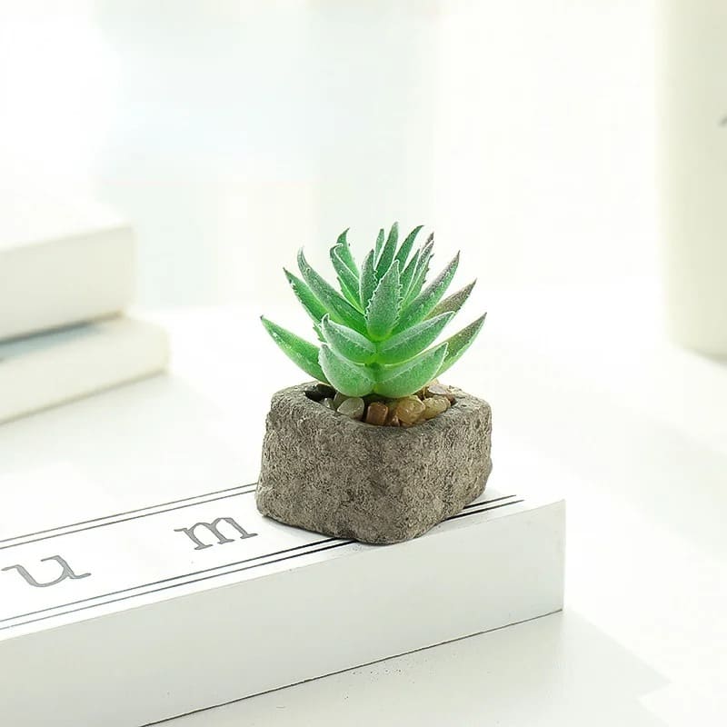 Petite Plante Grasse Artificielle Intérieur