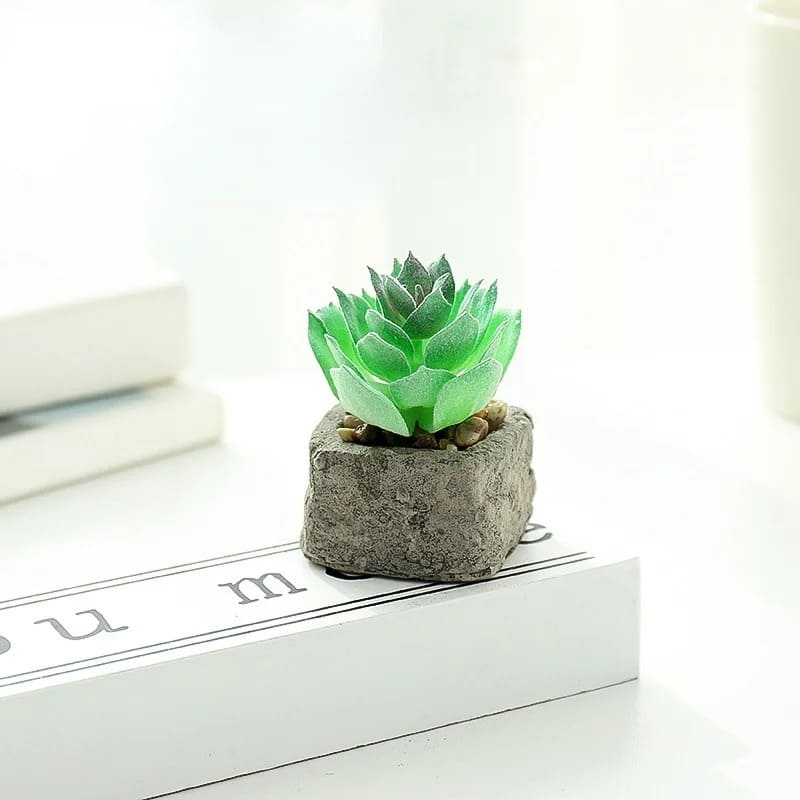 Petite Plante Grasse Artificielle Maison