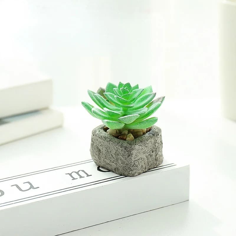 Petite Plante Grasse Artificielle Pas Cher