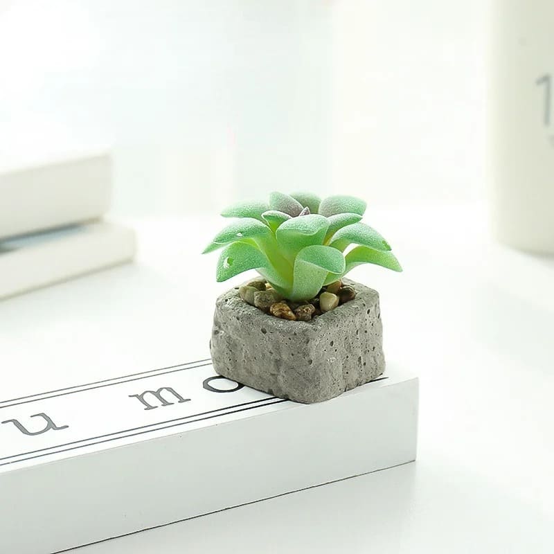 Petite Plante Grasse Artificielle Pot