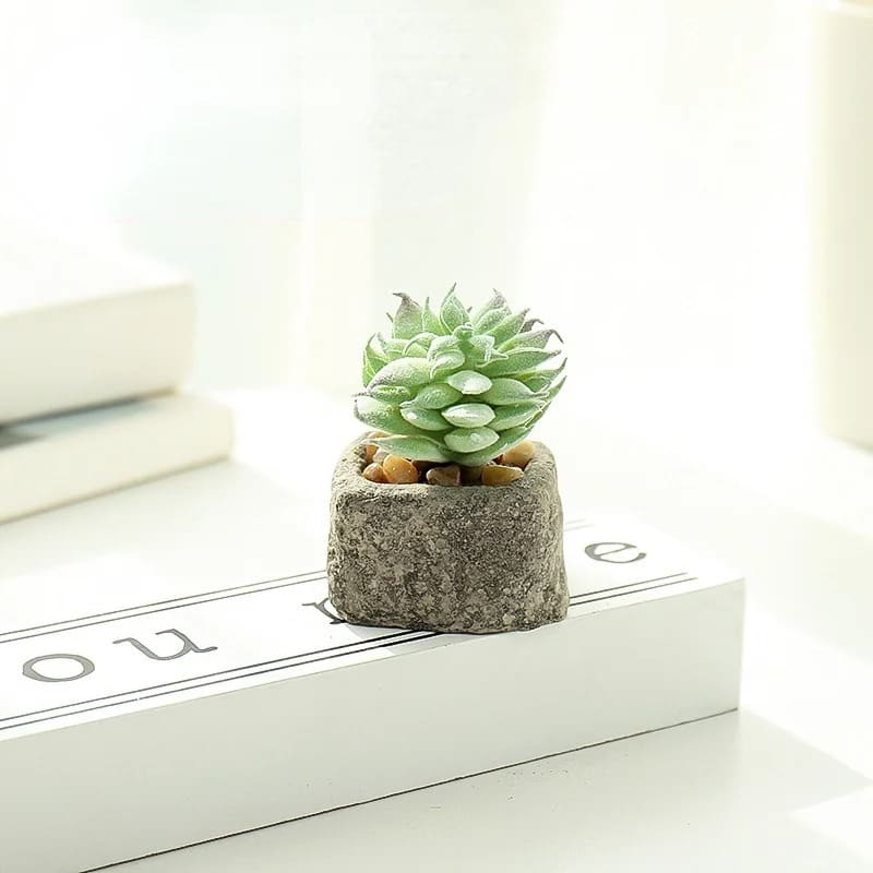 Petite Plante Grasse Artificielle Succulente