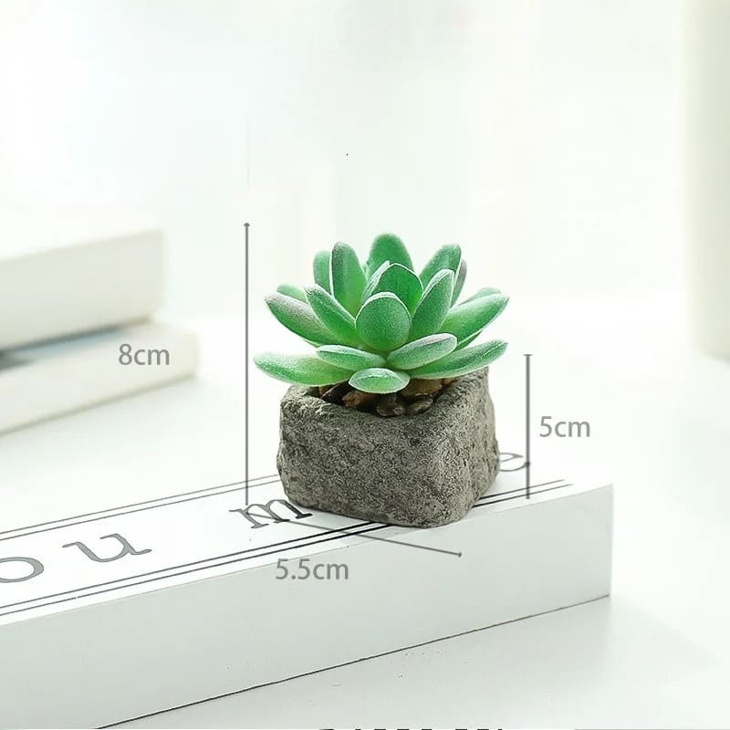 Petite Plante Grasse Artificielle Taille