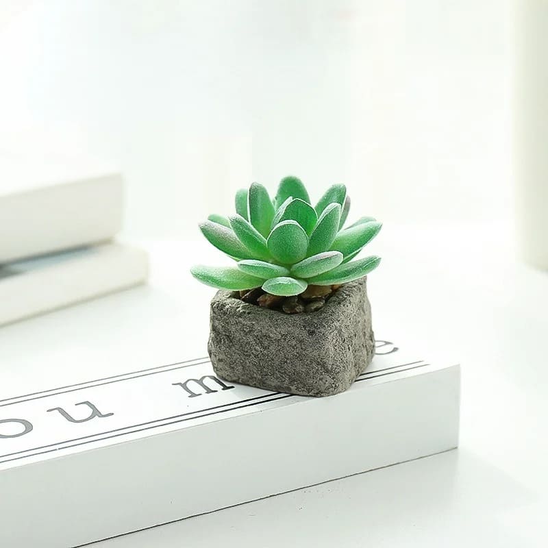 Petite Plante Grasse Artificielle Vert