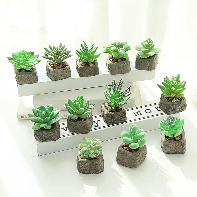 Petite Plante Grasse Artificielle