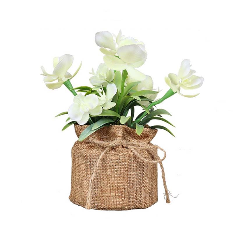 Petites Fleurs en Pot Blanc