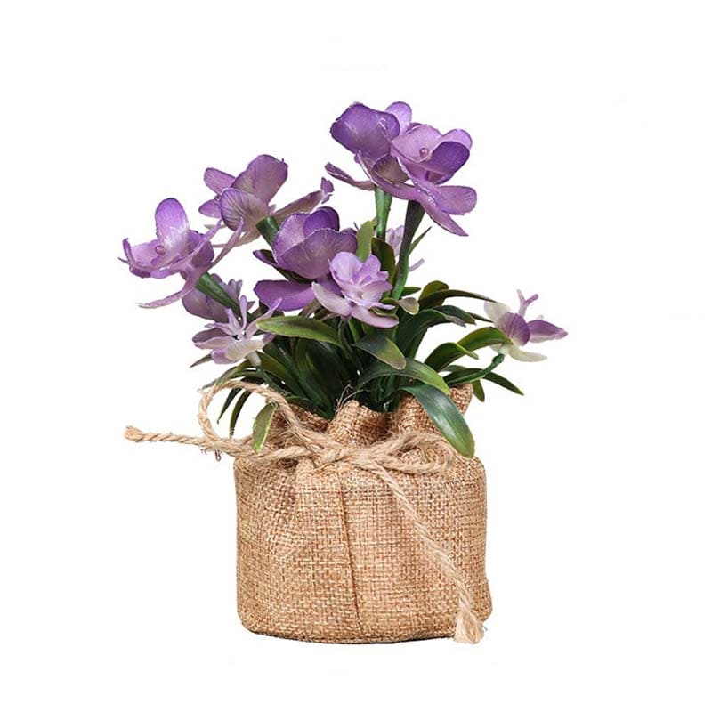 Petites Fleurs en Pot Violet