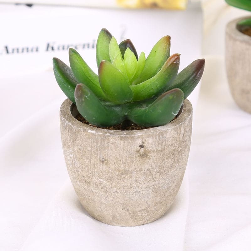 Petites Plantes Succulentes Artificielles