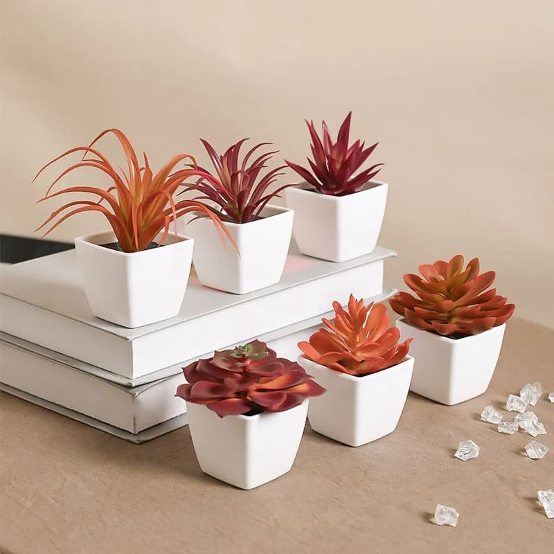Plante Artificielle Succulentes Ikea