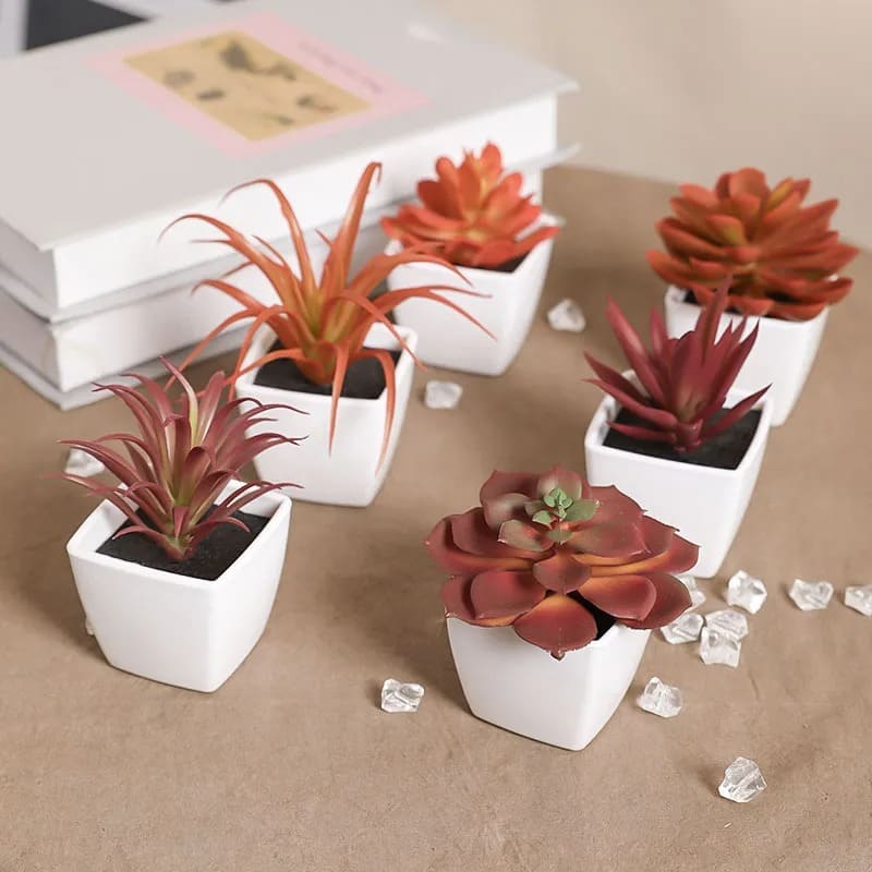 Plante Artificielle Succulentes Intérieur
