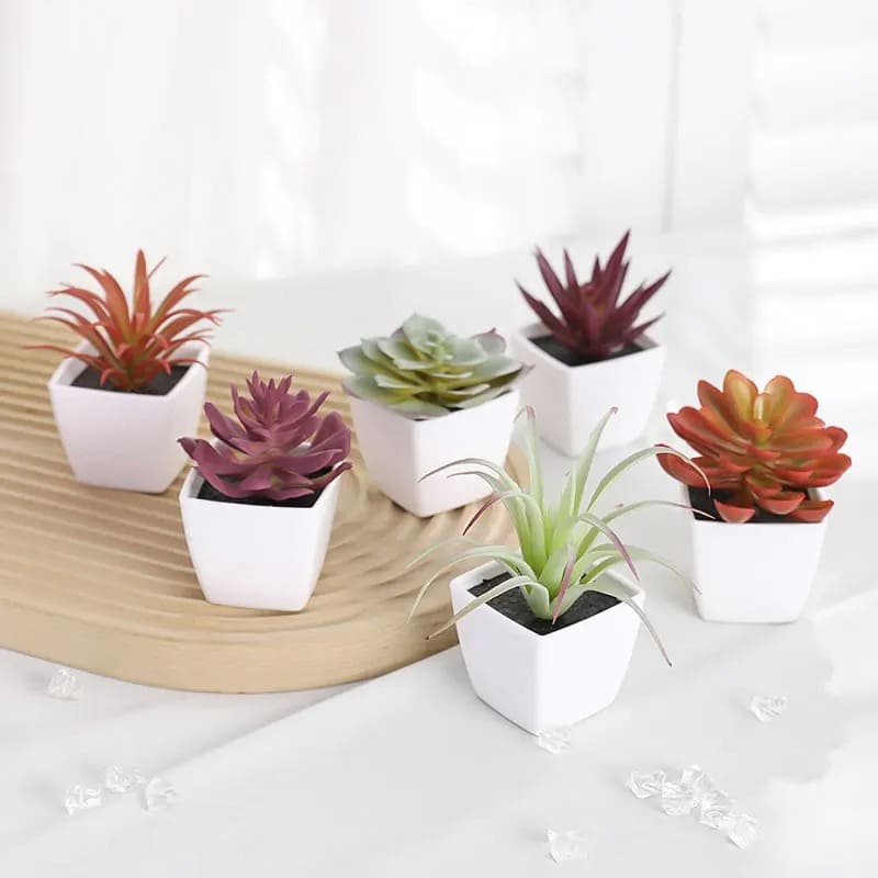 Plante Artificielle Succulentes