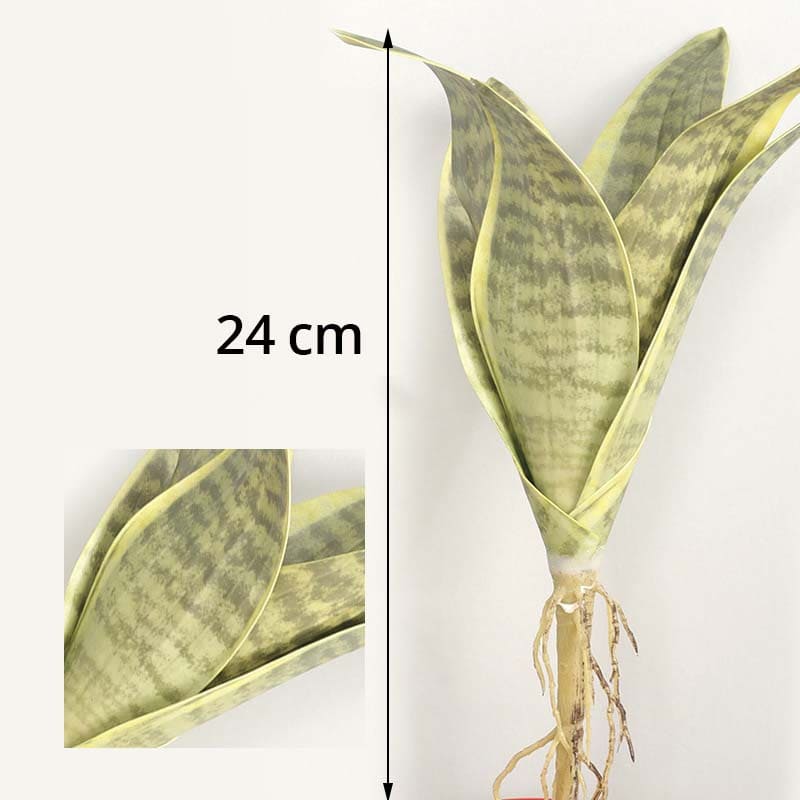 Plante Sansevieria Artificielle