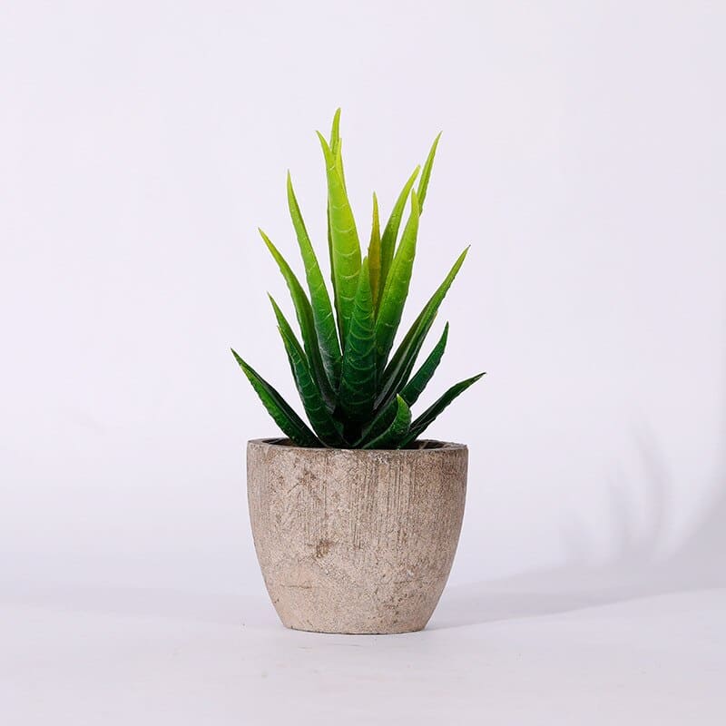 Plantes Grasses Artificielles en Pot