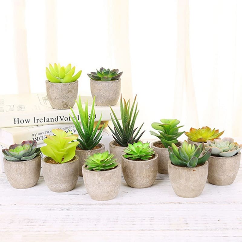 Achat Plante artificielle et mini serre pas cher Achat Plante artificielle et mini serre pas cher