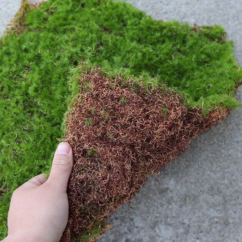 Plaque Mousse Artificielle