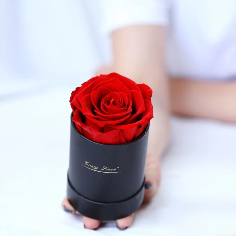 Rose Éternelle Pas Cher Boîte Noir
