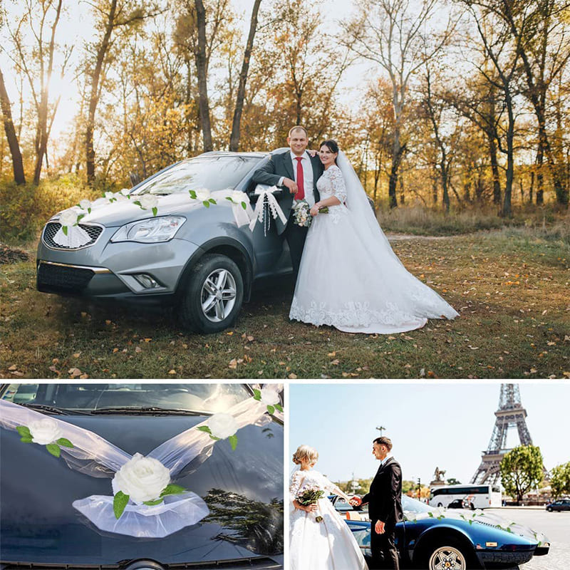 Rose Fleur Voiture Mariage Voiture
