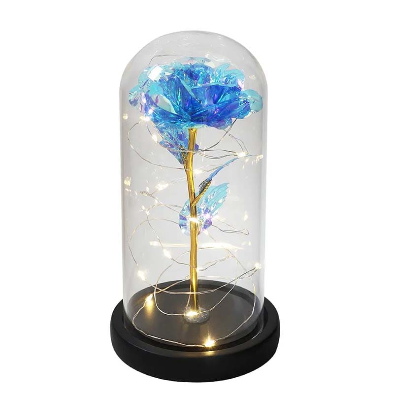 Rose Galaxy Sous Cloche Bleu