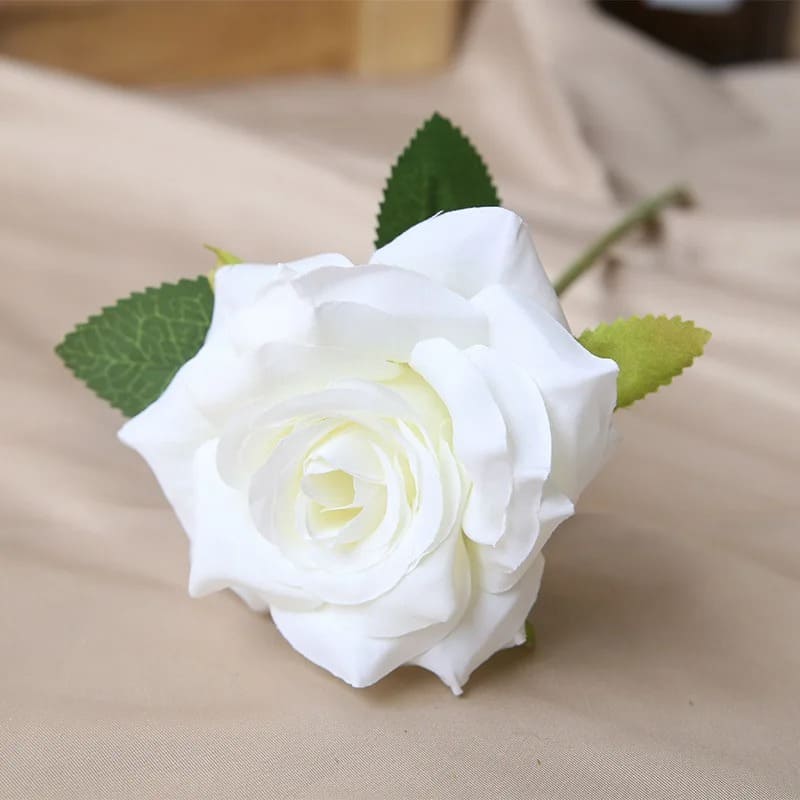 Rose Pas Cher Blanc 32cm