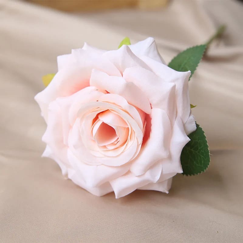 Rose Pas Cher Champagne 32cm