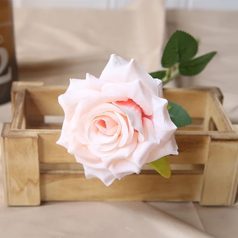 Rose Pas Cher Champagne 60cm