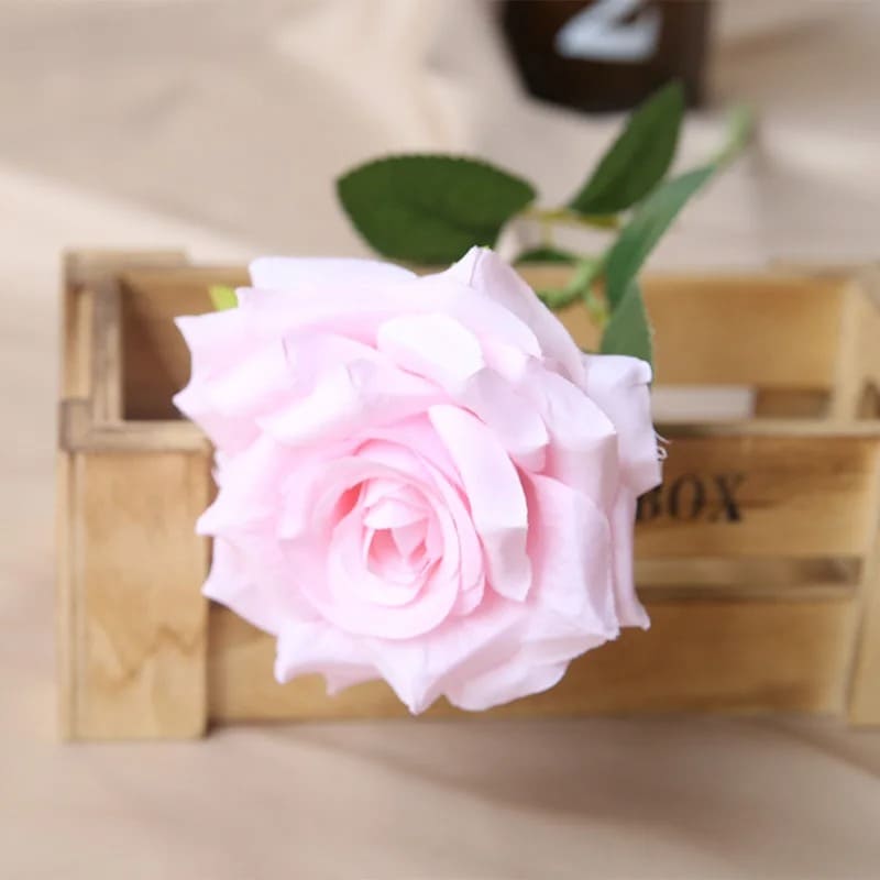 Rose Pas Cher Rose Clair 60cm