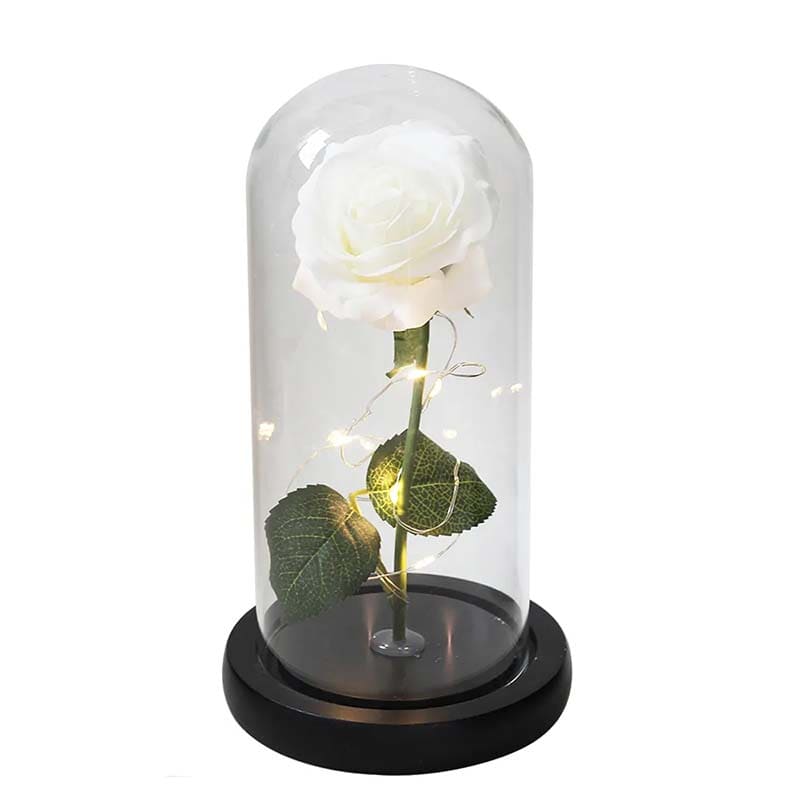 Rose Sous Cloche Blanc