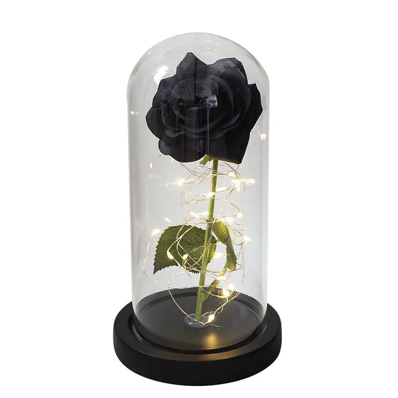 Rose Sous Cloche Noir