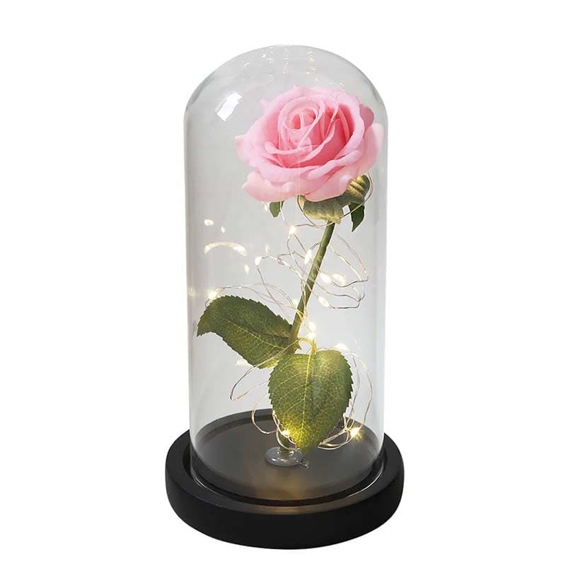 Rose Sous Cloche Rose