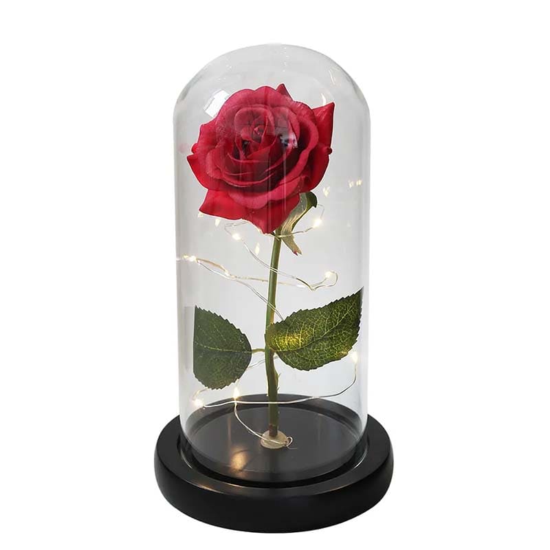 Rose Sous Cloche Rouge