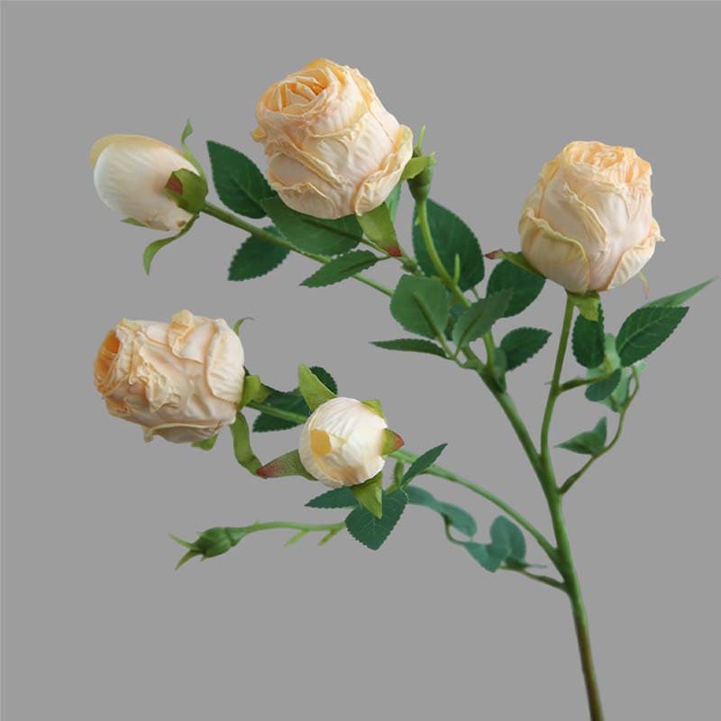 Rose Vintage Champagne