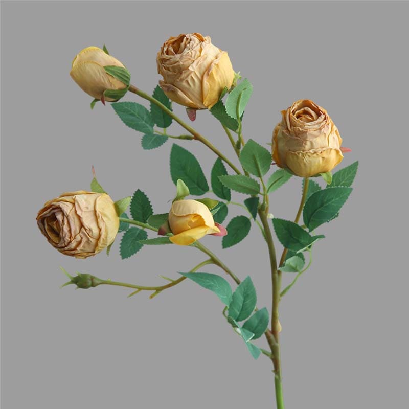 Rose Vintage Jaune