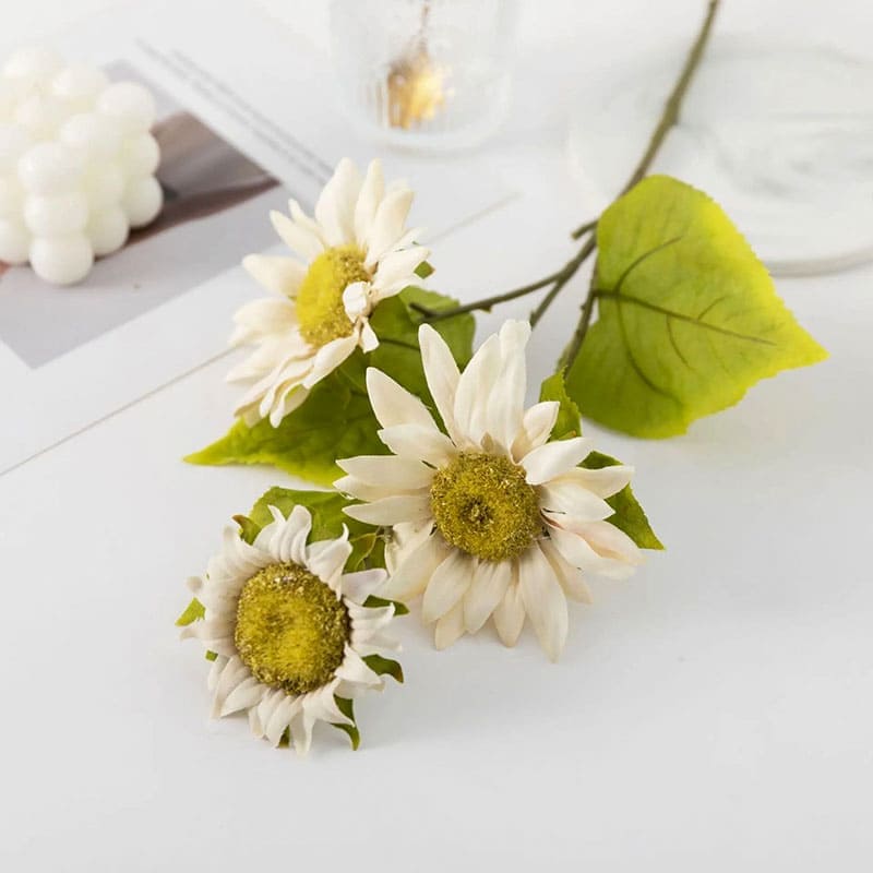 Tournesol Artificiel Blanc