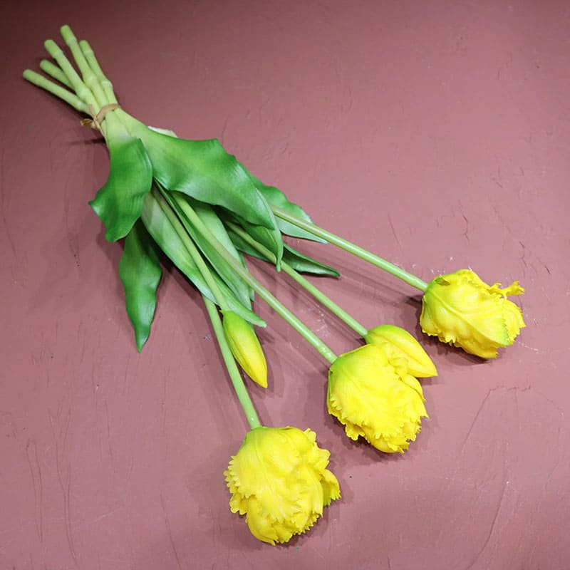 Tulipes Perroquet Jaune