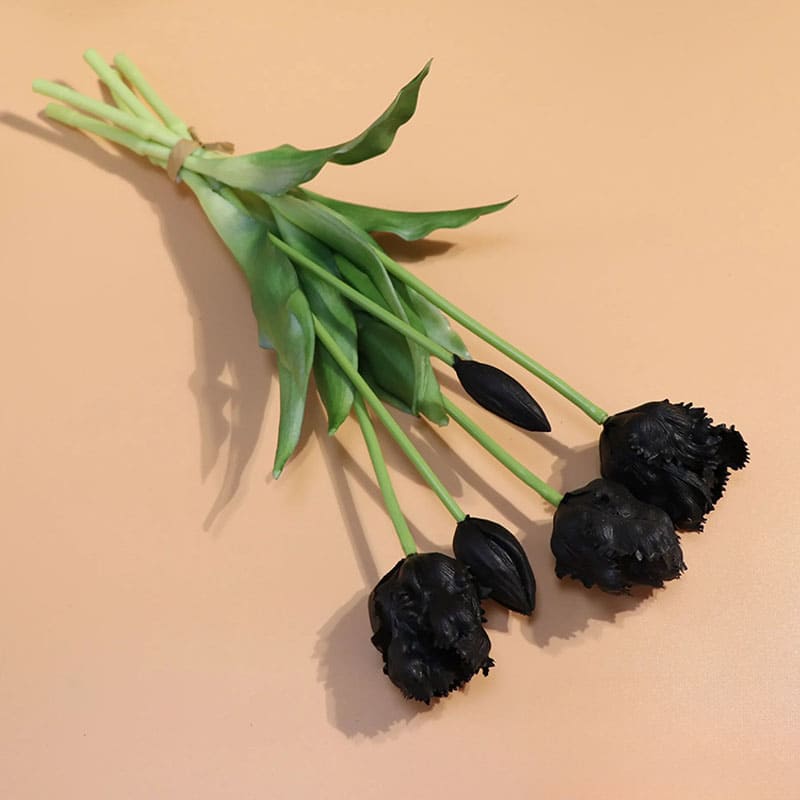 Tulipes Perroquet Noir