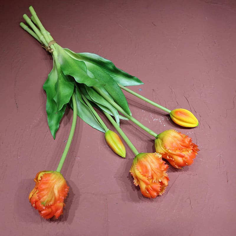 Tulipes Perroquet Orange