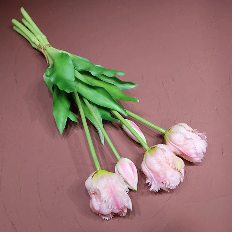 Tulipes Perroquet Rose Clair