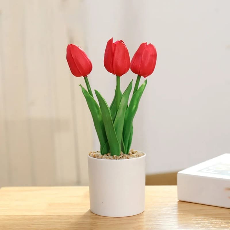 Tulipes En Pot