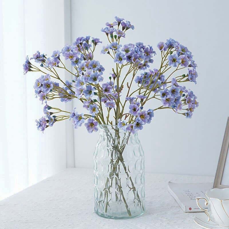 Vernicia fordii Branche