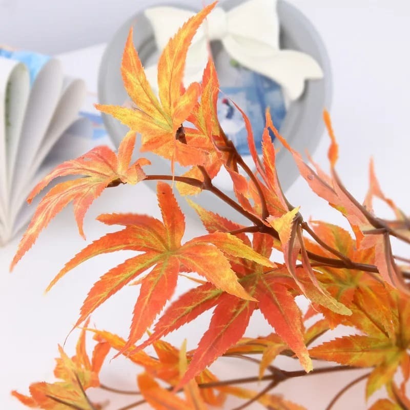 Branche D'érable Detail