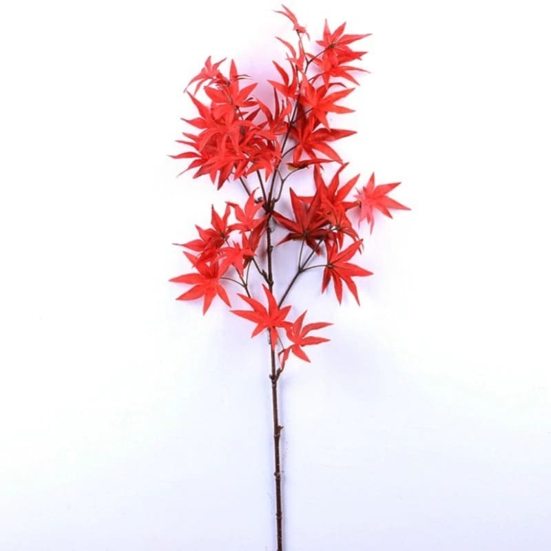 Branche d'Érable Rouge