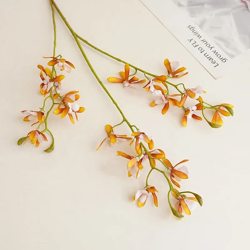 cymbidium-floribundum-jaune