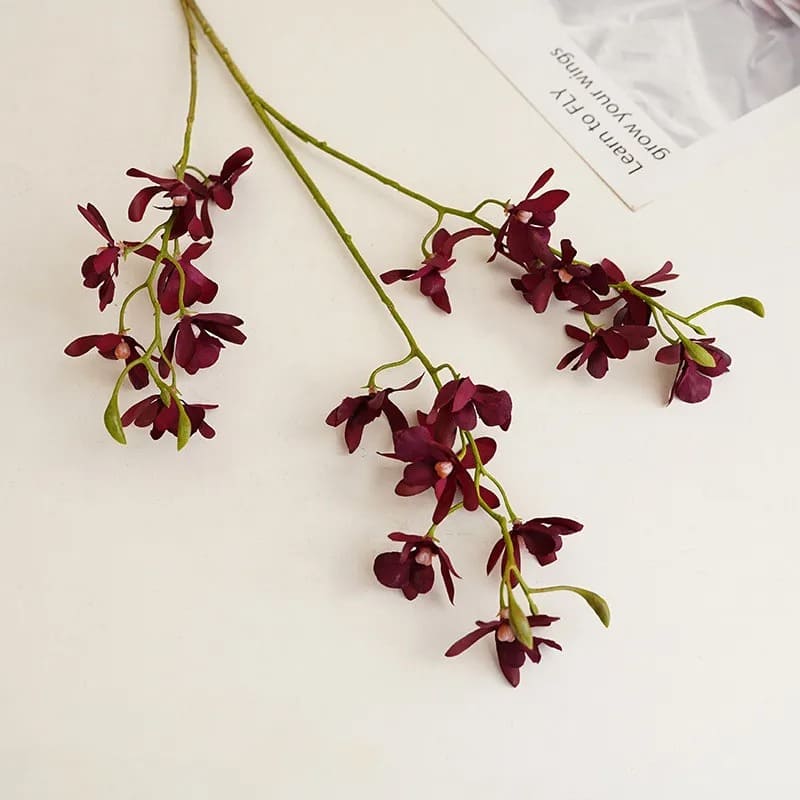 cymbidium-floribundum-rouge-foncé