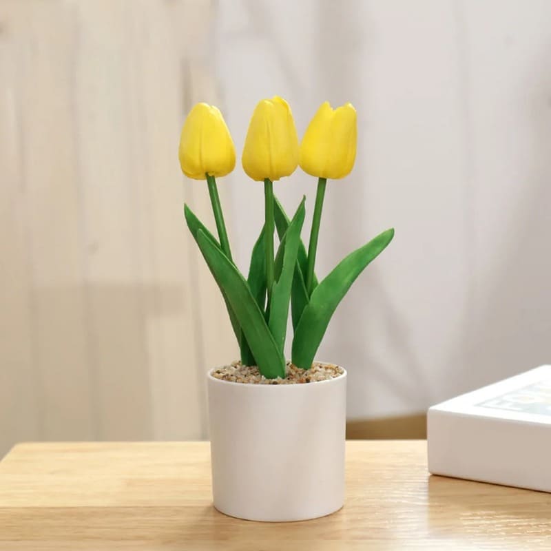 Fausses Tulipes En Pot