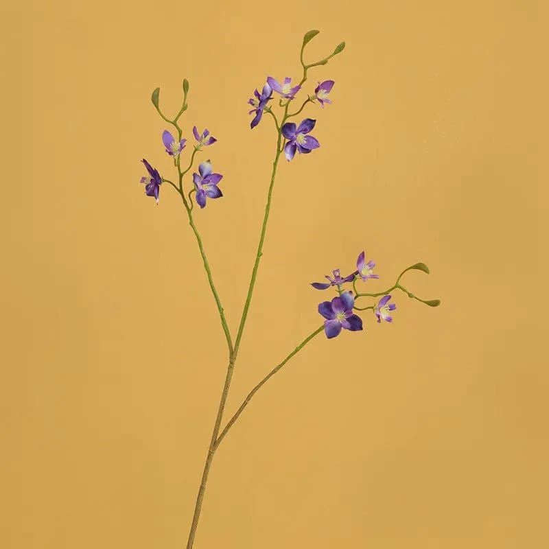 fleurs pieds d'alouette violet