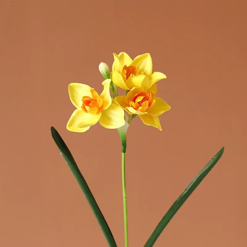 jonquille fleur jaune