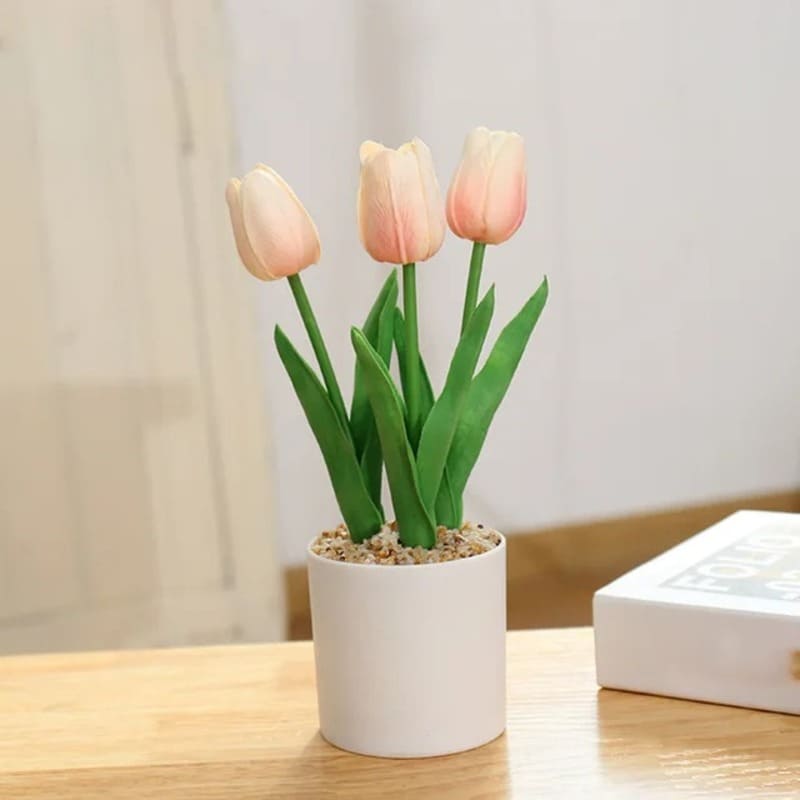 Tulipes En Pot Champagne