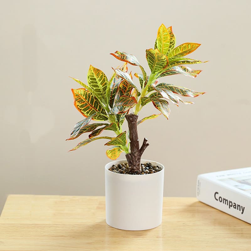 Croton Artificiel