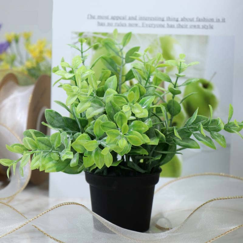 Fausse Petite Plante Décoration Intérieur