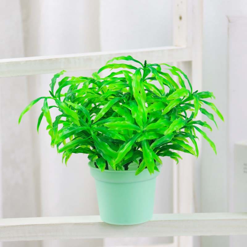 Fausse Petite Plante En Pot